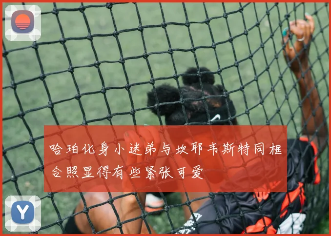 哈珀化身小迷弟与坎耶韦斯特同框合照显得有些紧张可爱
