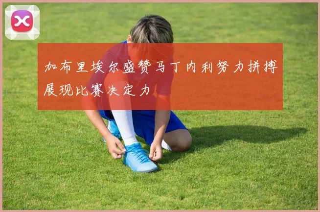 加布里埃尔盛赞马丁内利努力拼搏展现比赛决定力