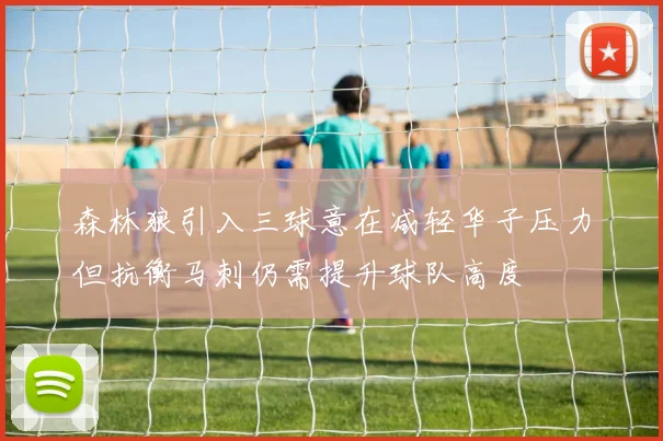 森林狼引入三球意在减轻华子压力但抗衡马刺仍需提升球队高度